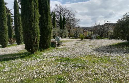 Agriturismo La Scarpaia - Foto 26