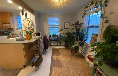 Seashell Cottage, in the Heart of Padanaram Village - Foto 7