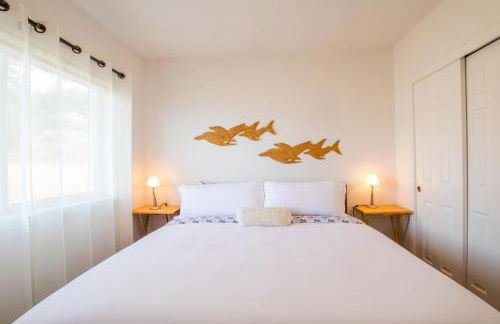 Magnificent Oceanview by OceanviewHotTubs Oceanfront! Shelter Cove, CA Tesla EV station - Foto 11