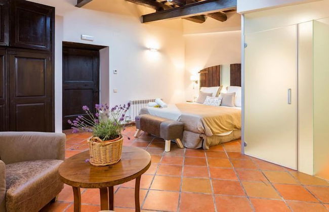 Masia Can Canyes & Spa - Foto 13