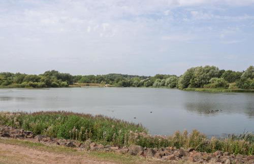 29 Ernest Dawes Avenue - Photo 34