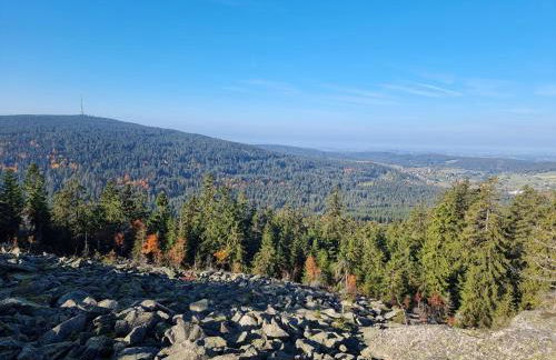 Ochsenkopf-apartment - Foto 12