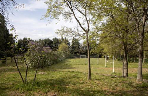 Parco Statella - Foto 50