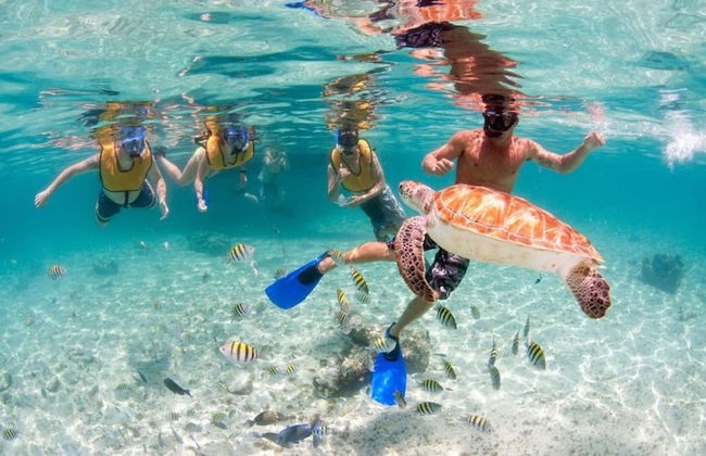 Paradise Awaits in This Seaside Escape! - Foto 12