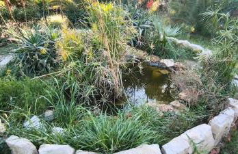 Villa Lago 2 - Photo 8