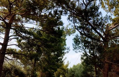 Tholos Alexandra's Beachfront House - Foto 25