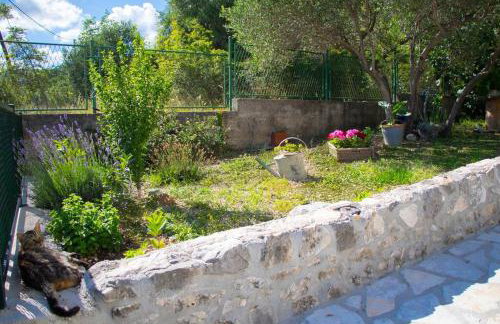 House Duje - Foto 16