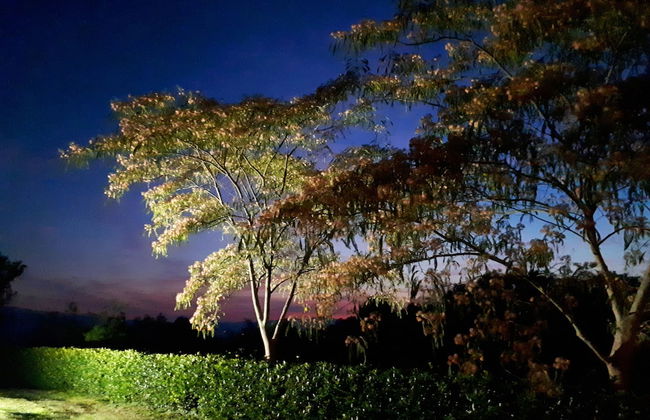 Agriturismo Antico Borgo Poggitazzi - Foto 73