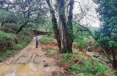 La Casa Junto al Sendero del Río & chimenea y leña incluida - Foto 46