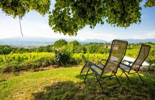 GATTO IN VIGNA - Foto 38