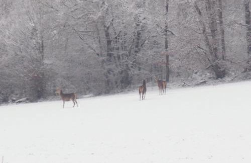 Les Gîtes De Morville - Foto 34