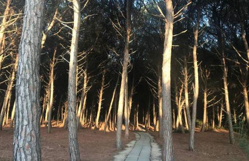 Pizzo Beach Club Luxury Apartment - Photo 8