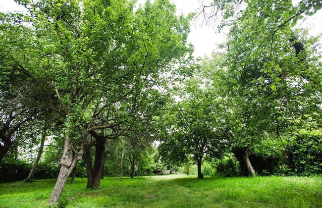 Oykum Villa Sapanca - Foto 19