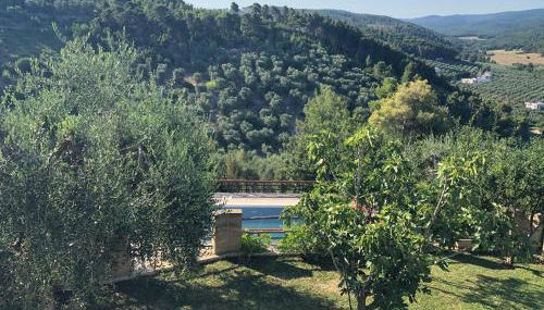 B&B Zia Nì - Foto 5