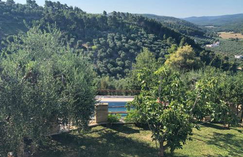 B&B Zia Nì - Foto 5