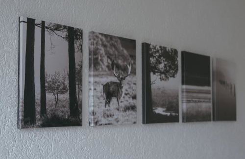 No 19 in the Black Forest - Foto 12