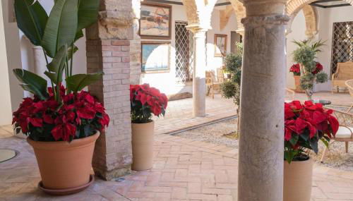 Corazón 23 - Foto 5