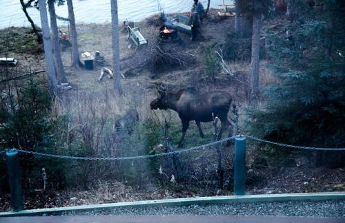 Eagle's Eye Vacation Rentals - Foto 51