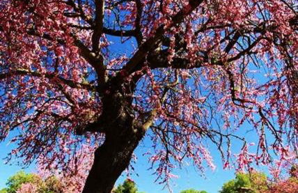 Olympia House Dionisos and Dimitra II - Foto 20