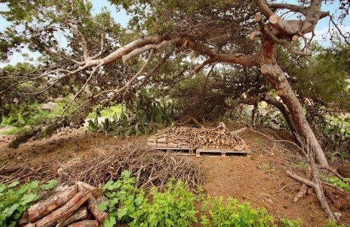 Casa Do Vinho - Foto 24