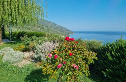 Moses Villa - Foto 9