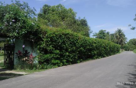 SÍTIO CONQUISTA FELIZ - Foto 7