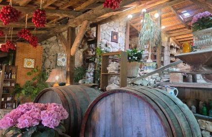 Agriturismo Fattoria Terranova - Foto 54