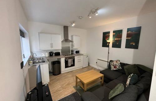 Orchard Court Spacious one bedroom apartment with extra sofa bed - Foto 1