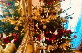 La Villa Alma Colmar - Foto 18