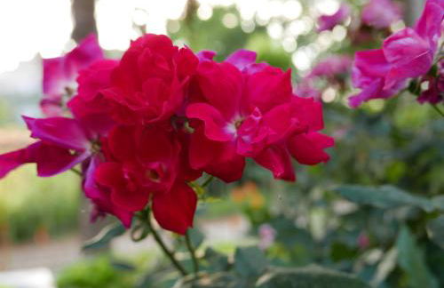 Cascina Tornara, ritorno alle origini monferrine - Foto 41