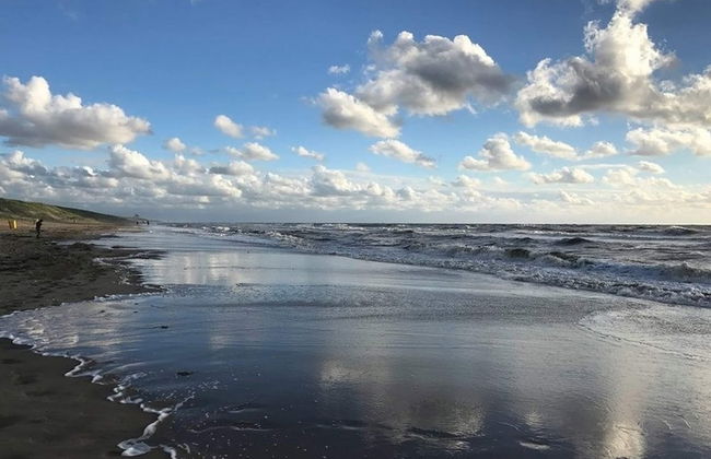 Relax in Your Holiday Home With Sauna, Near the Beach of Noordwijk - Foto 33