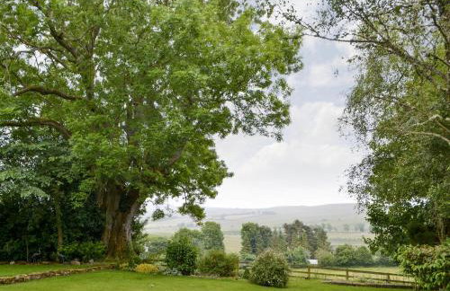 Cobweb Cottage - Foto 17