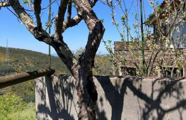 Casa do Ferreiro - Bocado Arganil - Foto 43