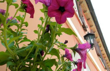 Casa Vacanze La Meridiana - Foto 28