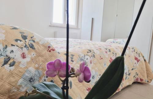 La GreenHouse - Isola di Capo Rizzuto - Foto 15