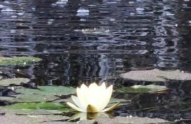 Estudio espectacular vista mar - Foto 35