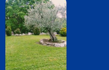 Residence San Martino - Foto 1