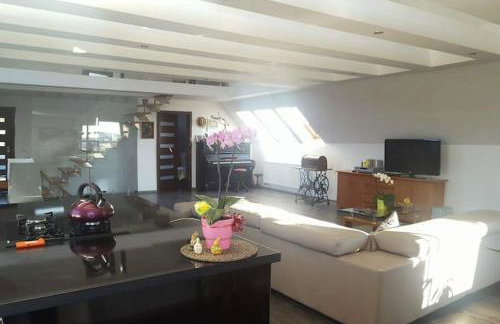 Apartamenty Holiday Slaw jacuzzi bilard - Foto 10