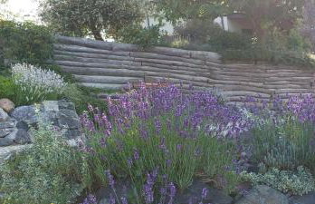 Apartman BIBA - Foto 22