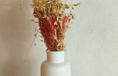 Studio en plein coeur du village - Foto 15