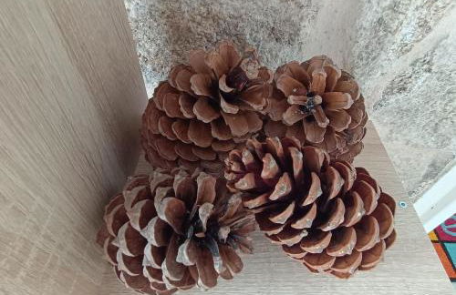 Apartamentos Gabín - Foto 13