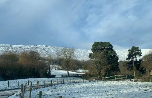 White Haywood Farmhouse - Photo 43