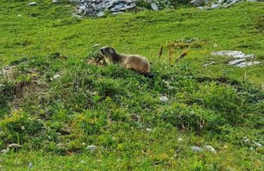 Tignes2100 - Le Télémark - Foto 31