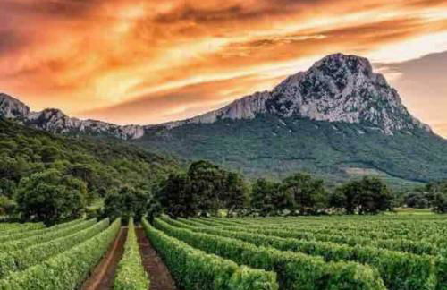 Comfortable and bright renovated 4-room apartment 5' downtown - Photo 23