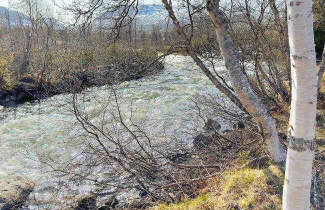 5 Person Holiday Home in Hovden - Photo 12