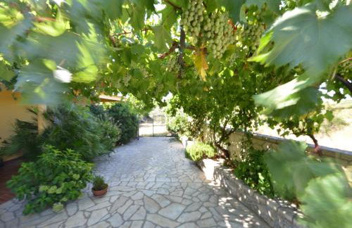 Apartman Marija - Photo 20