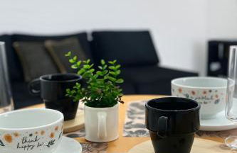 Casa 4 min Centro, UFU, UMC, Camaru c Ar condicionado - Foto 3