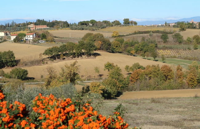 Modern Holiday Home in Foiano Della Chiana With Pool - Foto 64