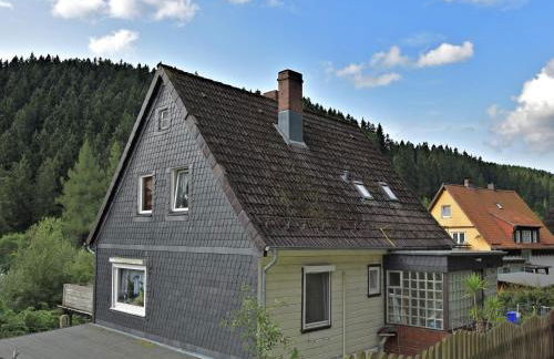 Apartment in Wildemann Near Hahnenklee Ski Area - Foto 29