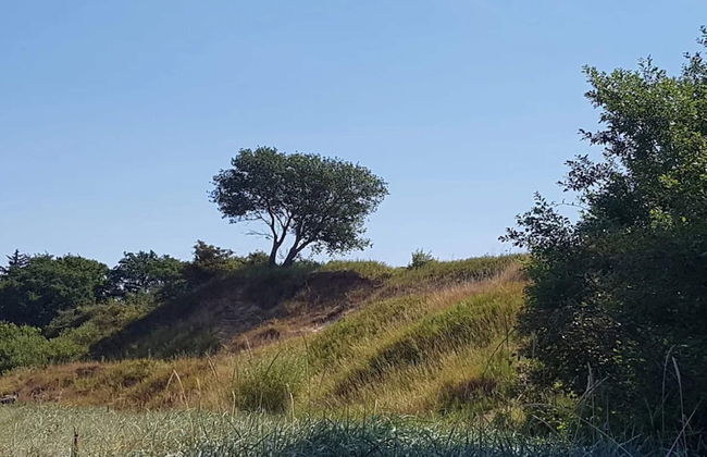 6 Person Holiday Home in Brenderup Fyn - Photo 10